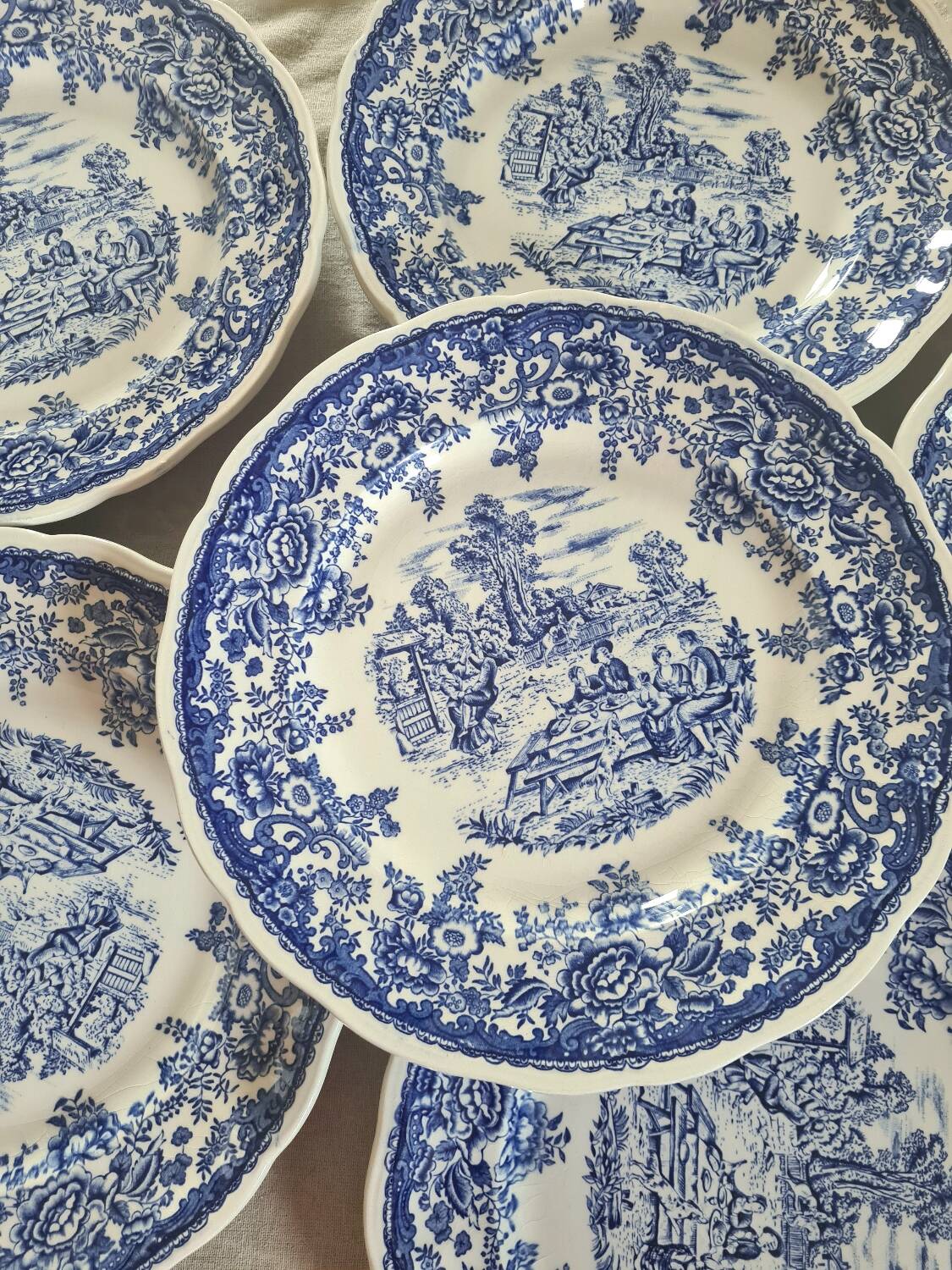Lunéville blue English dinner plates