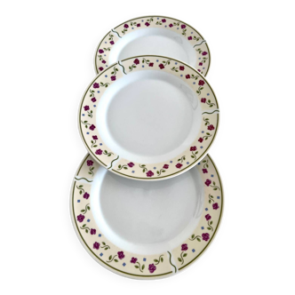 Set of 3 Chriss G porcelain collection plates