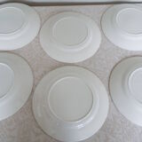 6 assiettes plates oiseaux