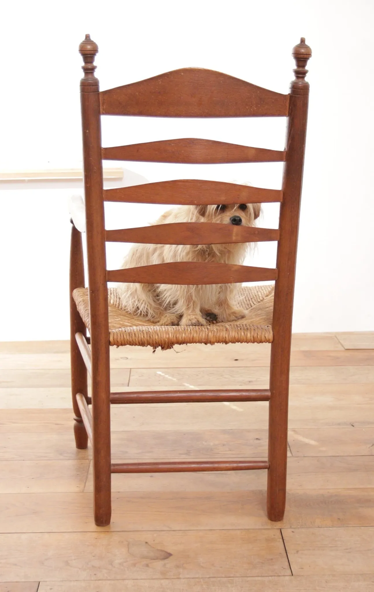 Dutch oak ladderback armchair with rush seat – 1950s