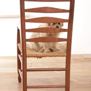 Dutch oak ladderback armchair with rush seat – 1950s