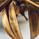 Golden leaf wall light
