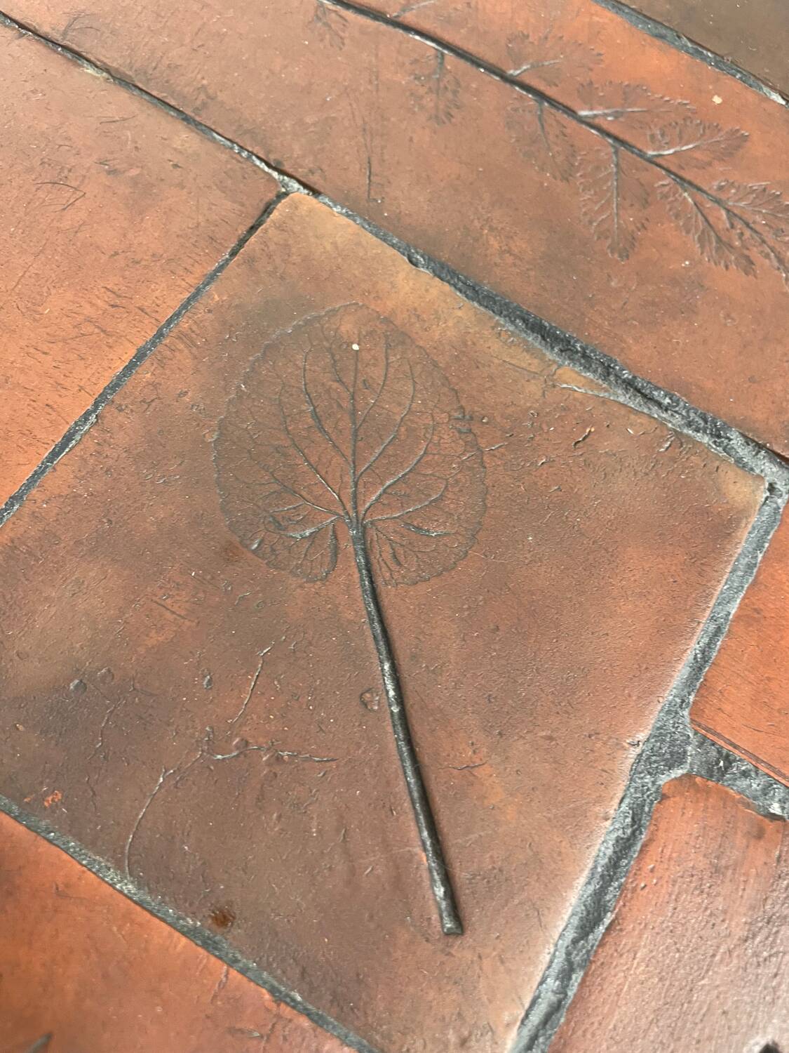 Herbarium coffee table