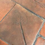 Herbarium coffee table