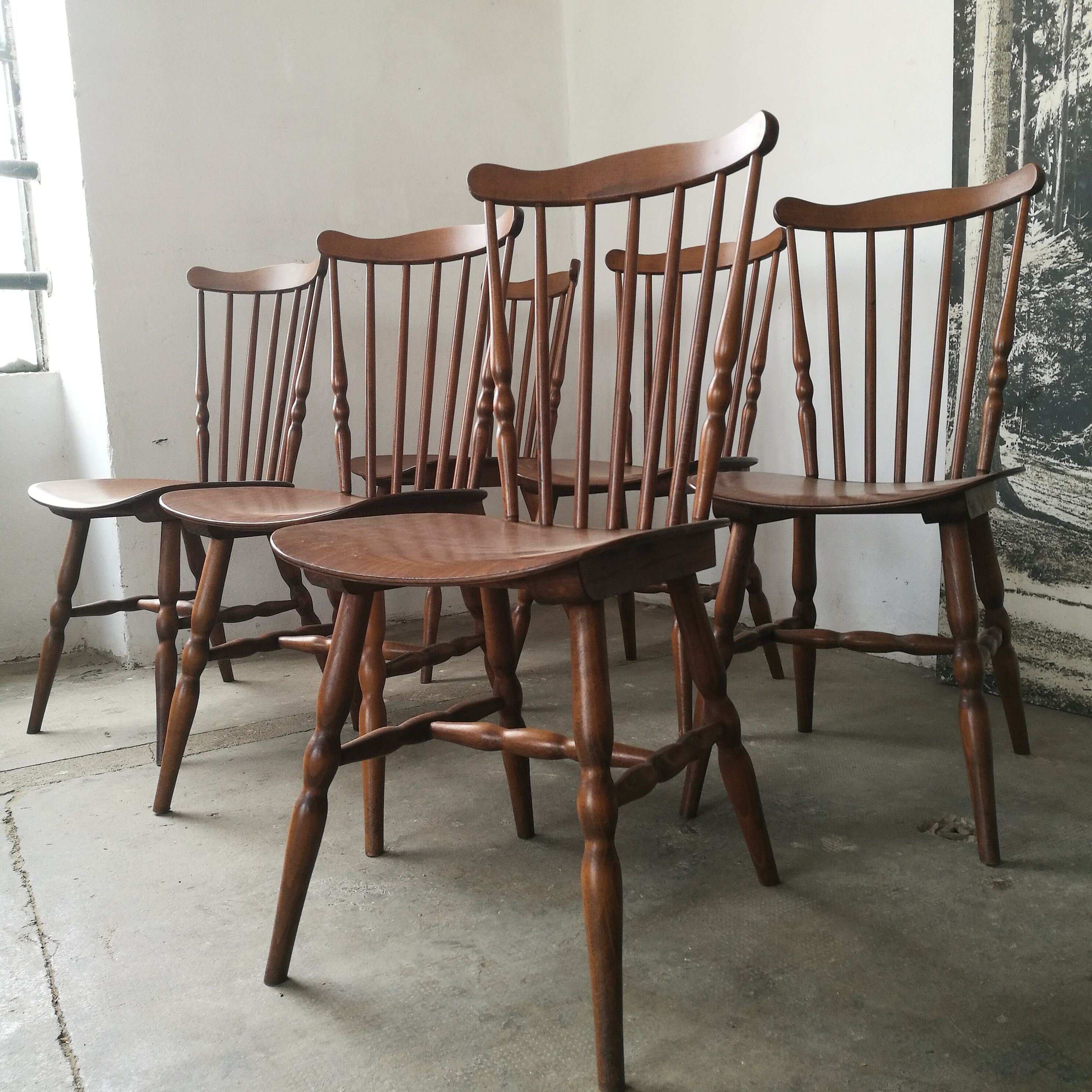 Set of 6 chairs bistro Tacoma by Baumann