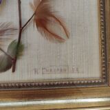 Butterfly taxidermy frame