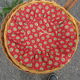 Panier à ouvrage en rotin