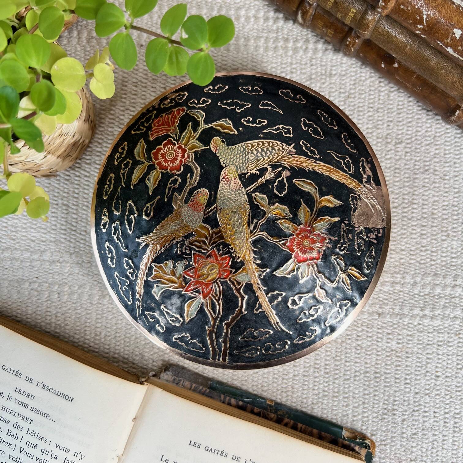 Parrots brass box