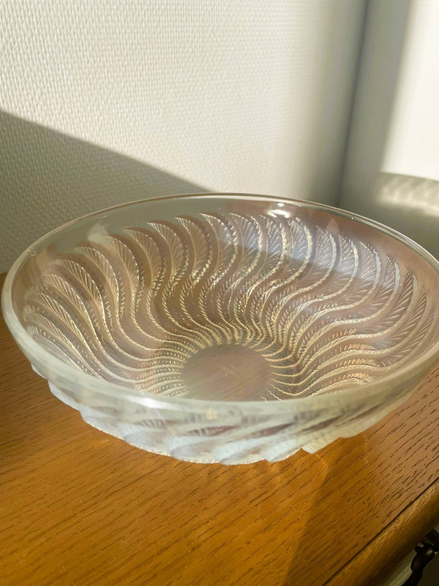 Opalescent glass bowl “Actinia” by René Lalique
