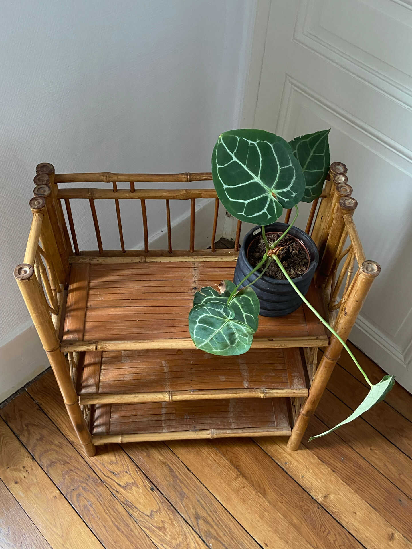 Foldable rattan furniture