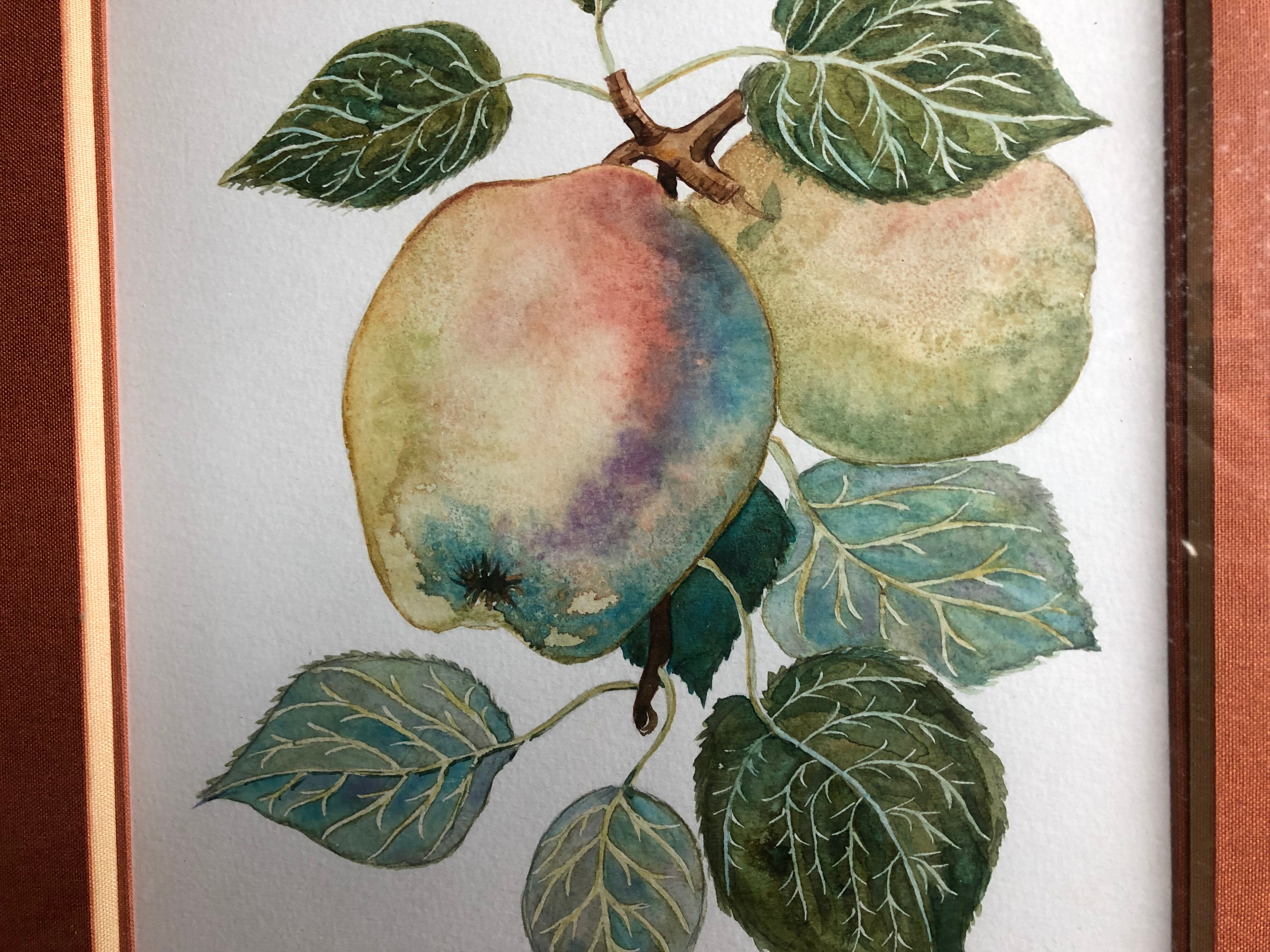 Old botanical lithograph patricia kounakowitch