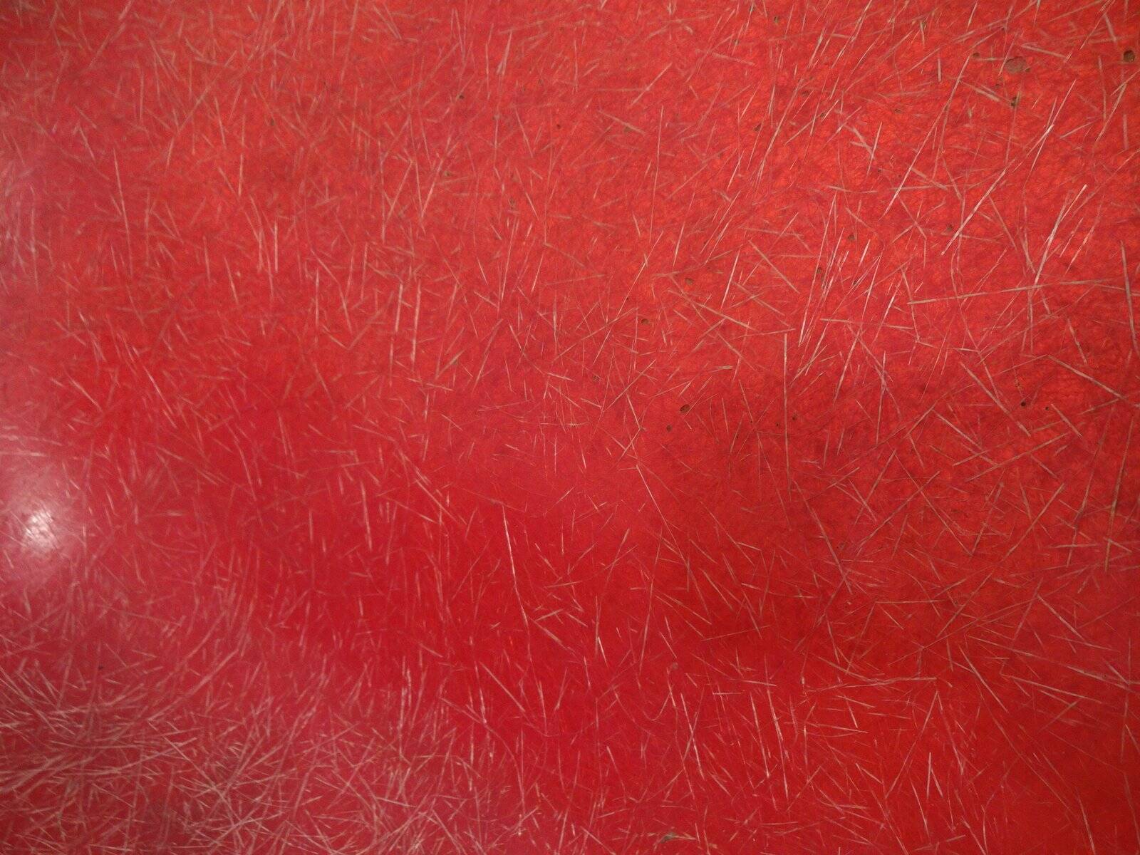 Set of French Fiberglass Side Chairs, 1960s