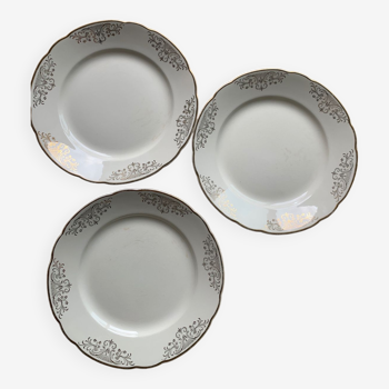 Assiettes plates Villeroy & Boch