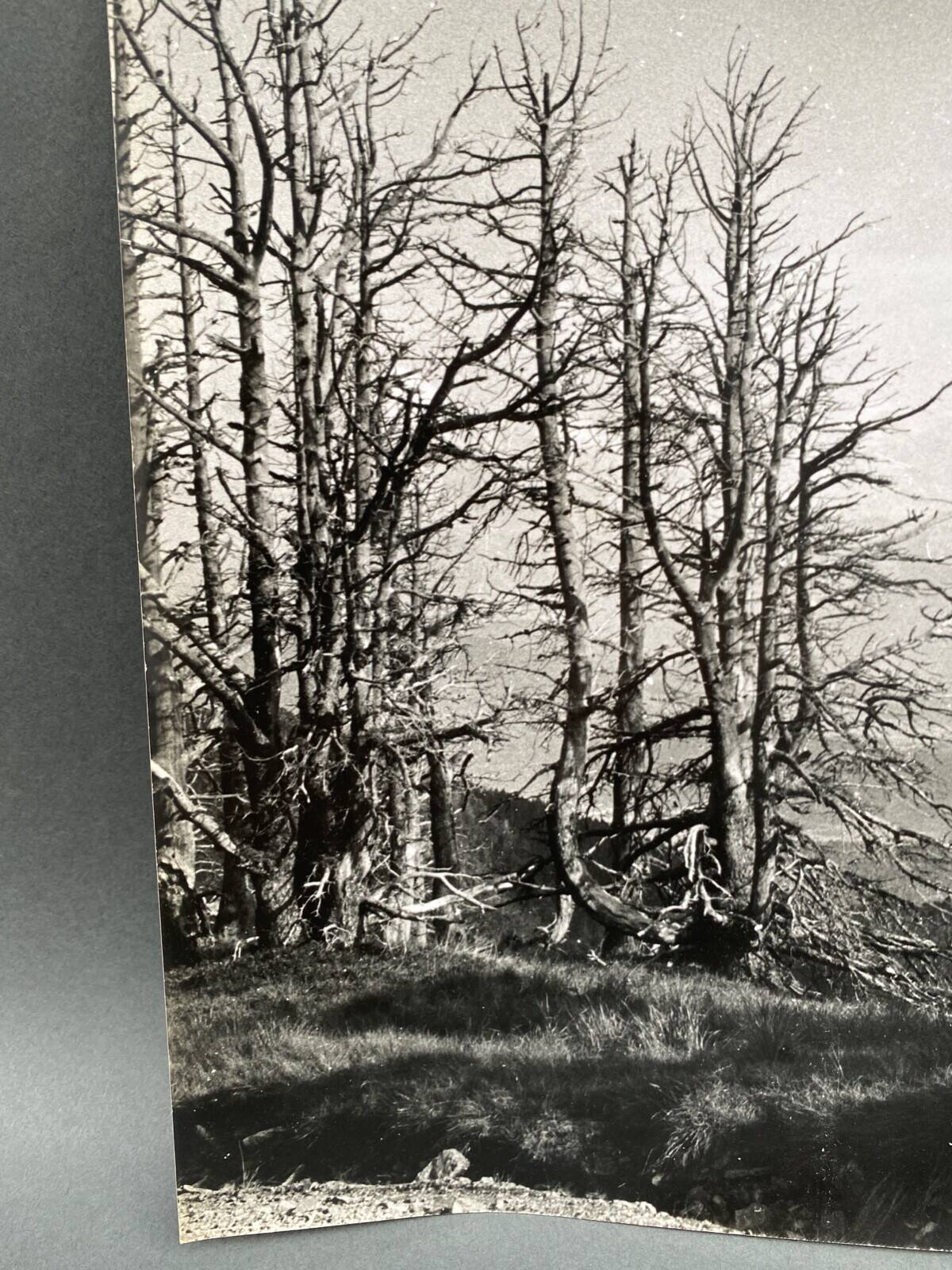 Silver gelatin photograph by Bernard Darot, mountain landscape, 20th century