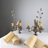 Pair of wall sconces with parrots and leaves