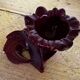 Ceramic Candle Holder Vallauris 1950s signed CAB