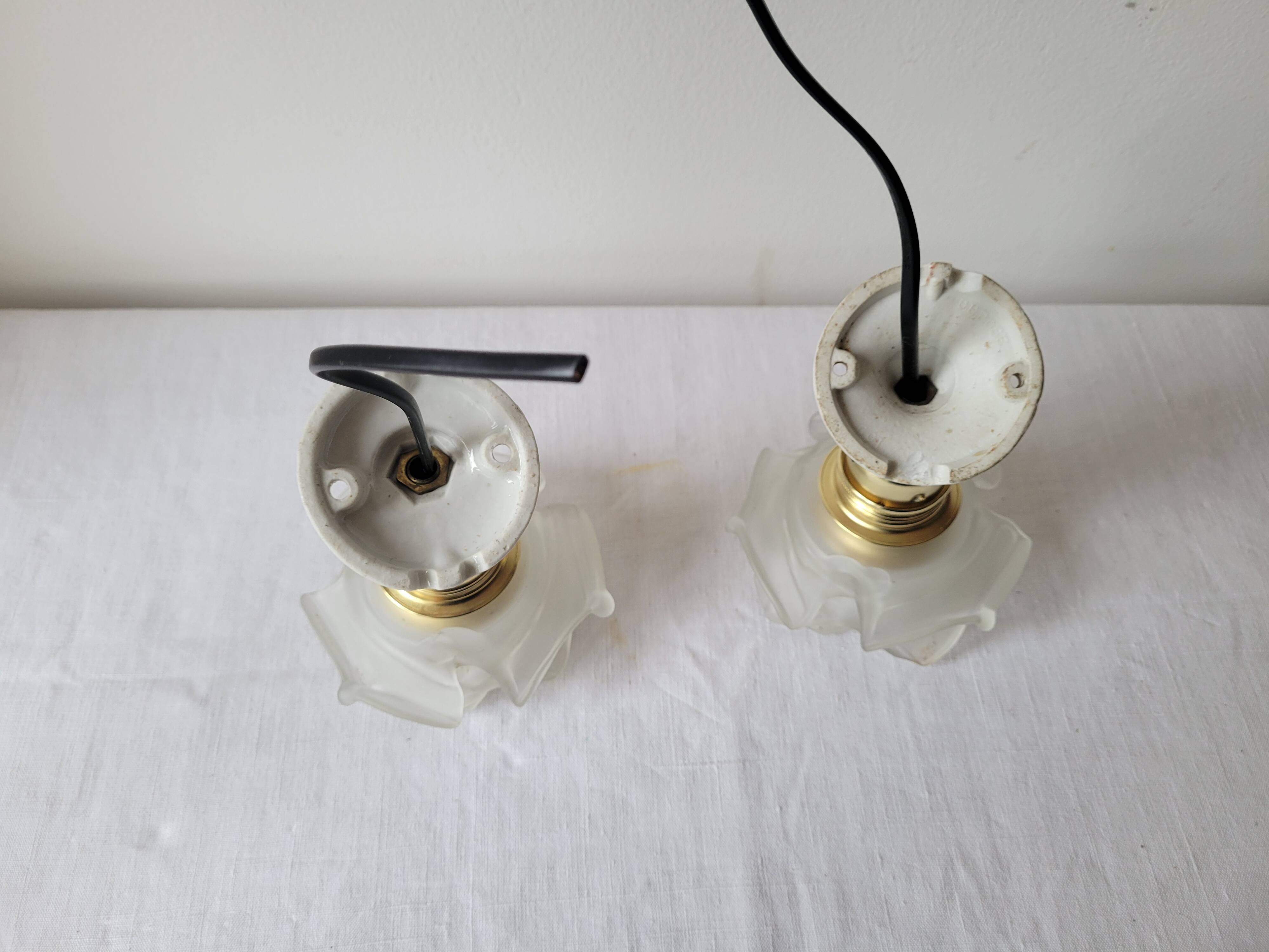 Duo of glass and porcelain flower wall lights