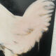 Rooster portrait in oil on canvas
