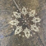 Empire style round table "lion's paws"