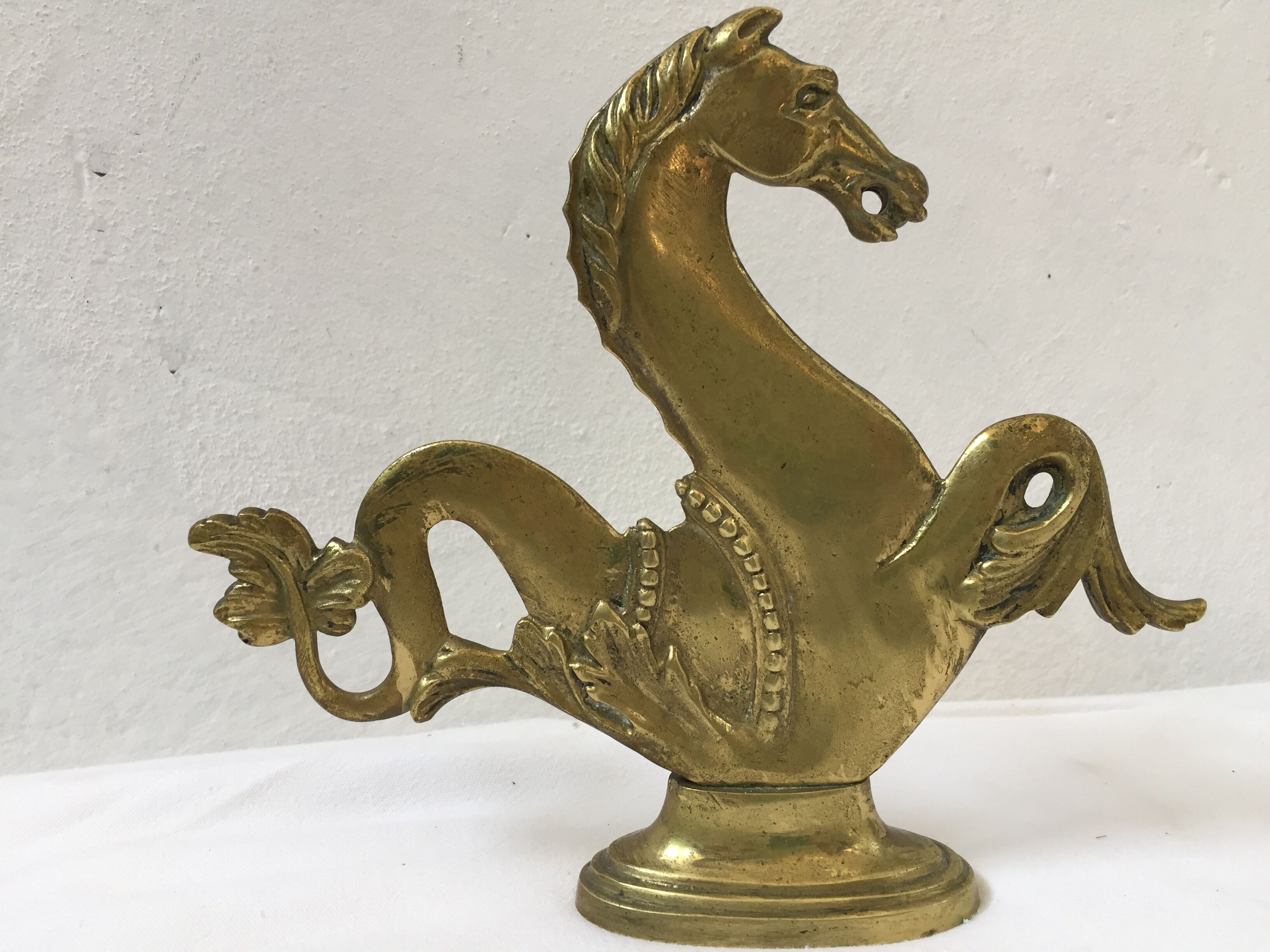 Hippocampus brass years 70