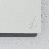 Risographie-f1-29 exemplaires a3 signée Pierre Digonnet-2020.