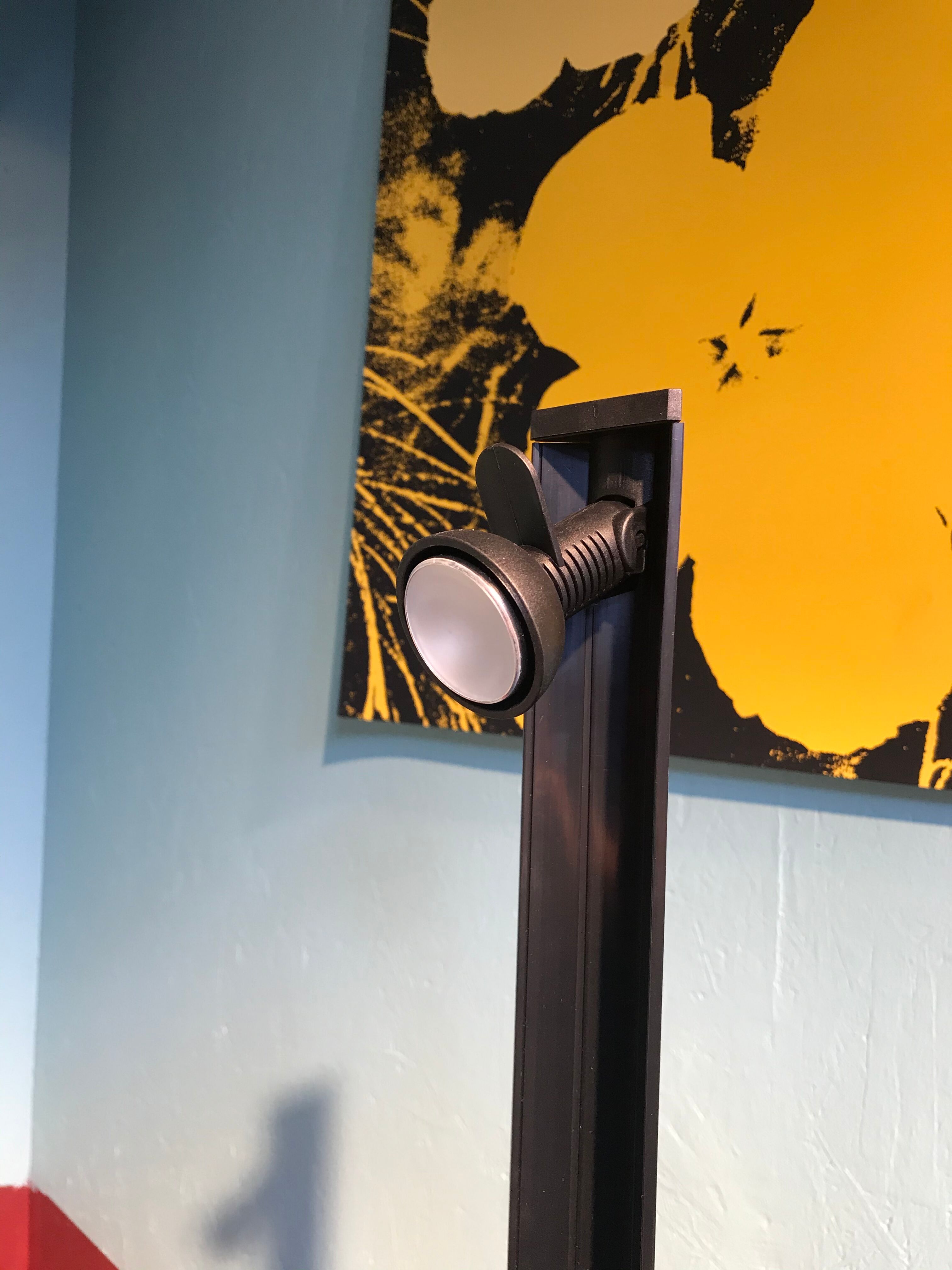 Colibri floor lamp, Franca Helg, Paolo Piva, Albini for Sirrah