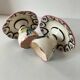 Pair of HB Quimper egg cups with integrated pedestal base, floral decoration