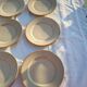 12 Tulowice dessert plates