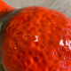 Orange decanter