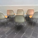 Suite of 6 chairs Dsx Charles and Ray Eames edition Herman Miller 1960