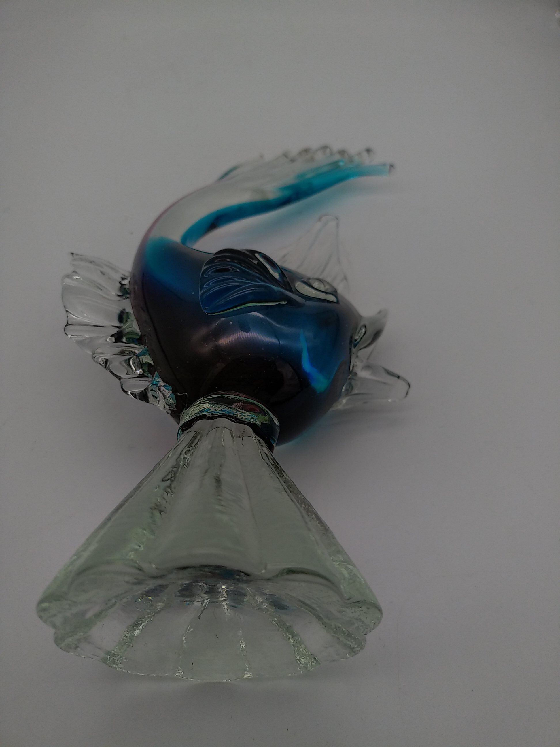 Glass fish