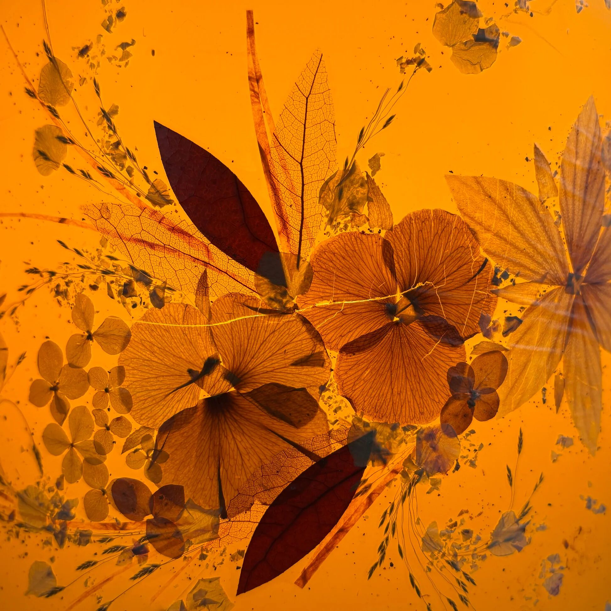 Vintage lampshade with dried flowers