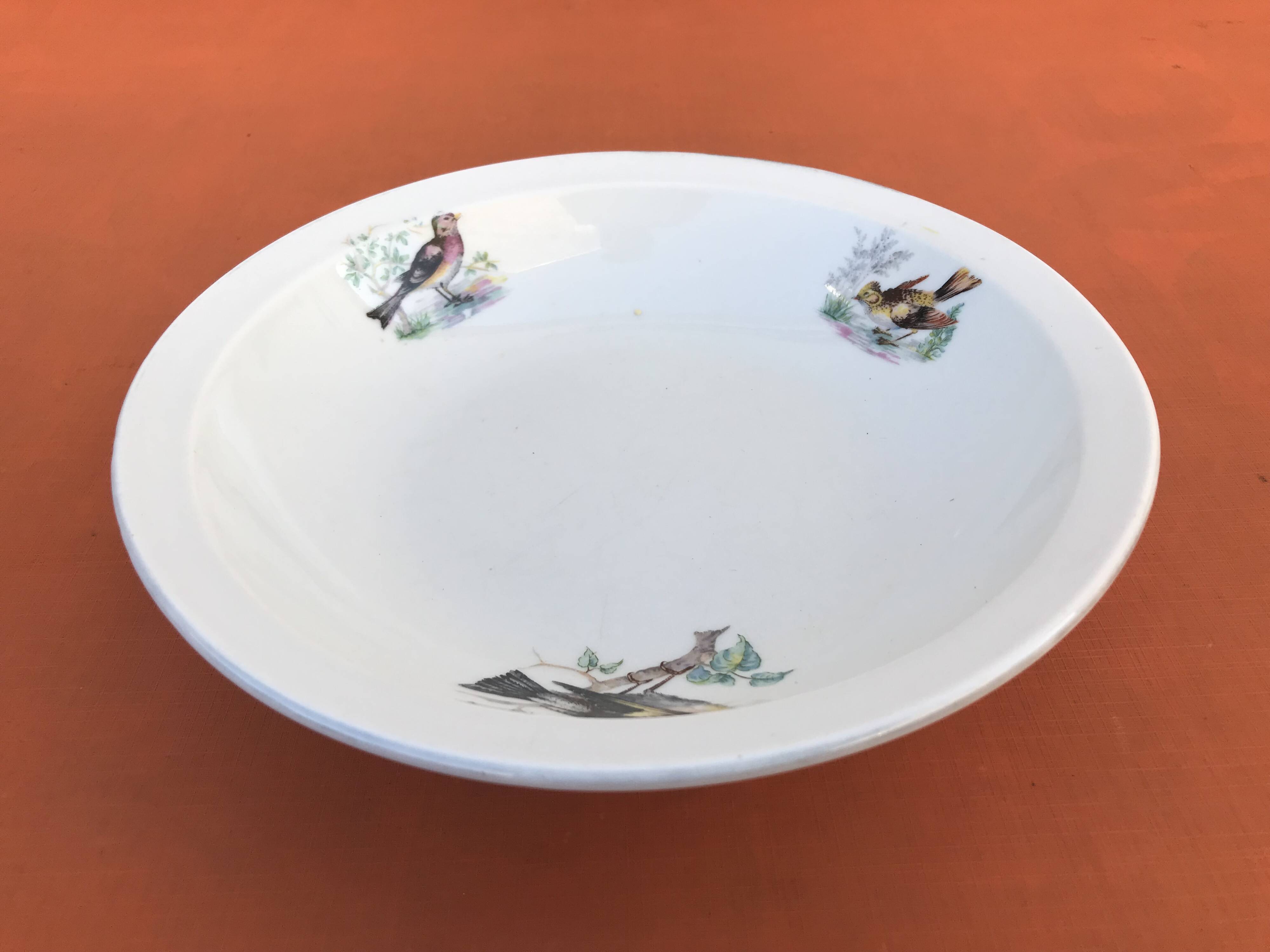 Old dish Decor Beaks and Feathers Pillivuyt France Deposited