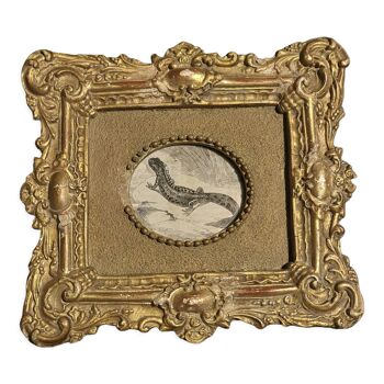 Animal engraving gilded stuccoed wood frame nineteenth century