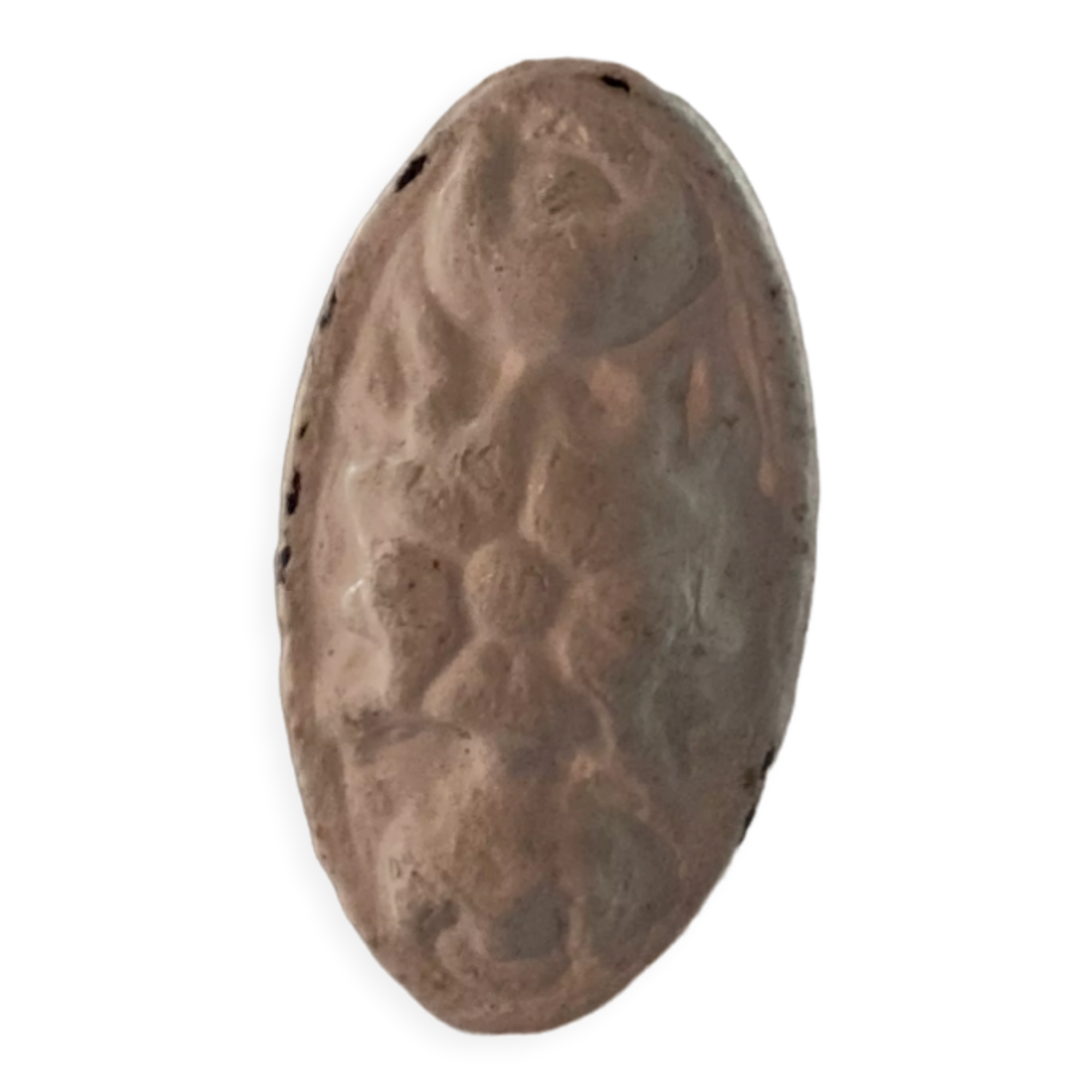 Window with interior shutters