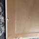 Oil on still life carton by Contesso