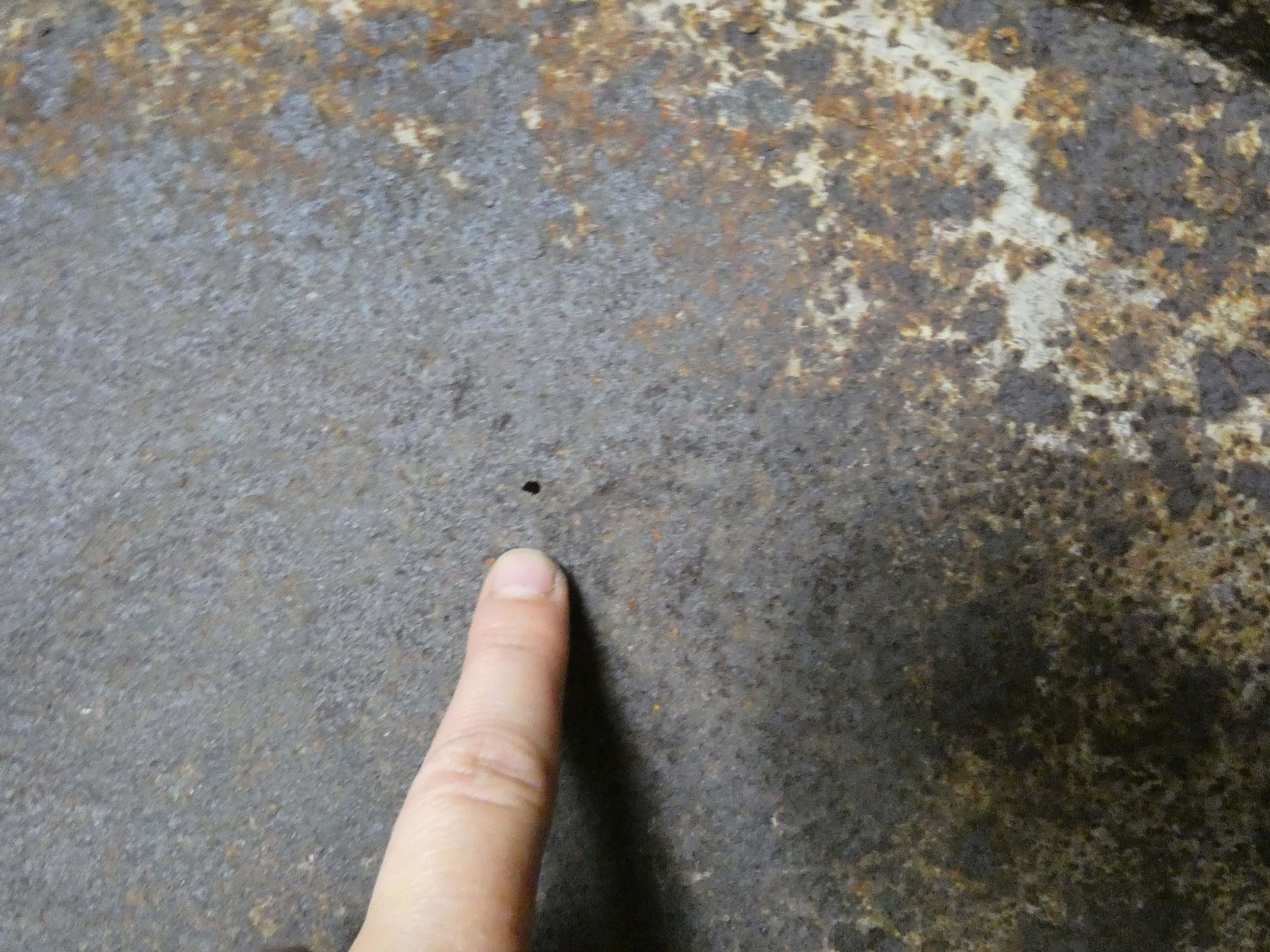 Old basin bath galvanized zinc oval