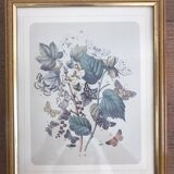 Botanical card butterfly vintage lithograph 3