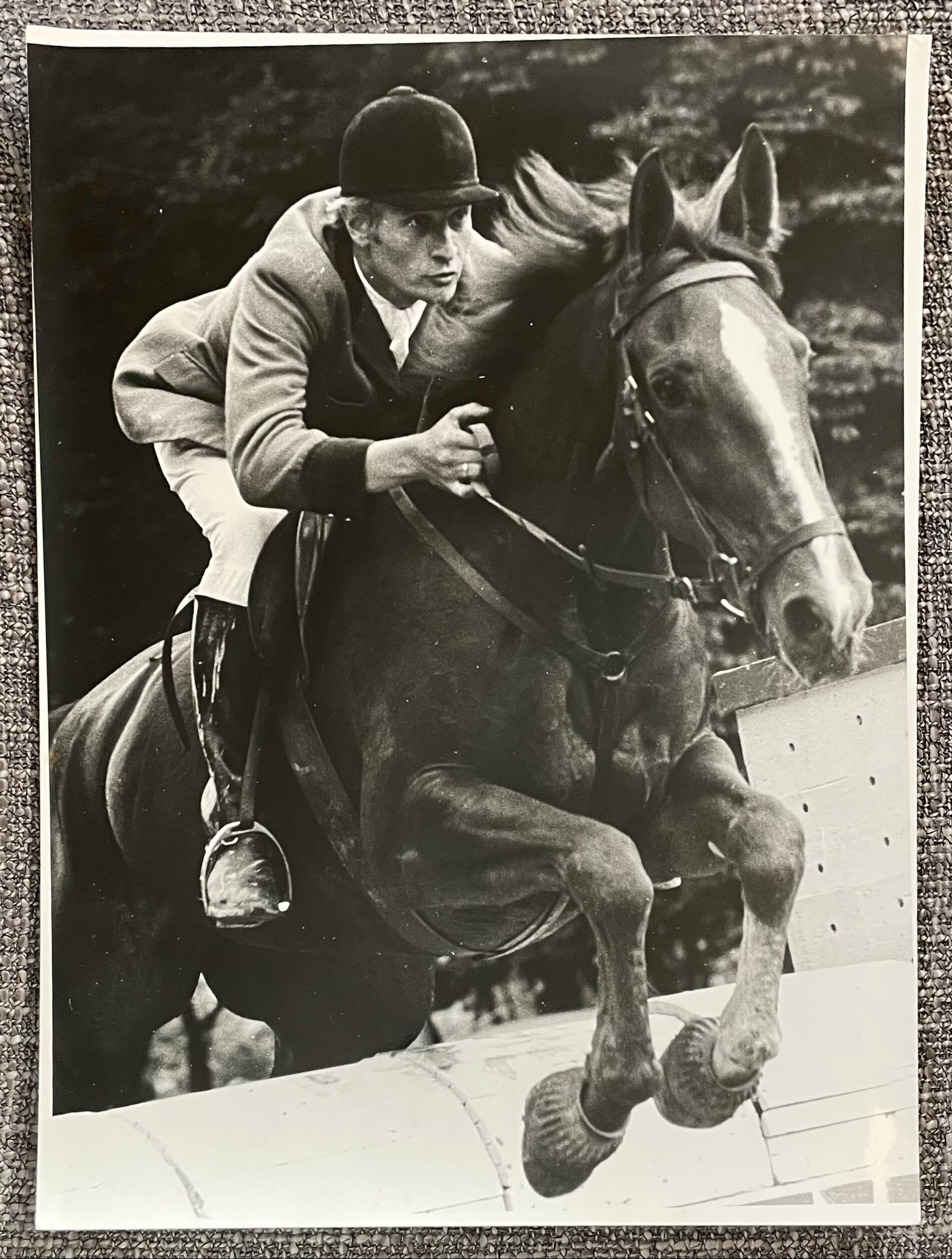 Photograph black and white silver print circa 1970 riding competition