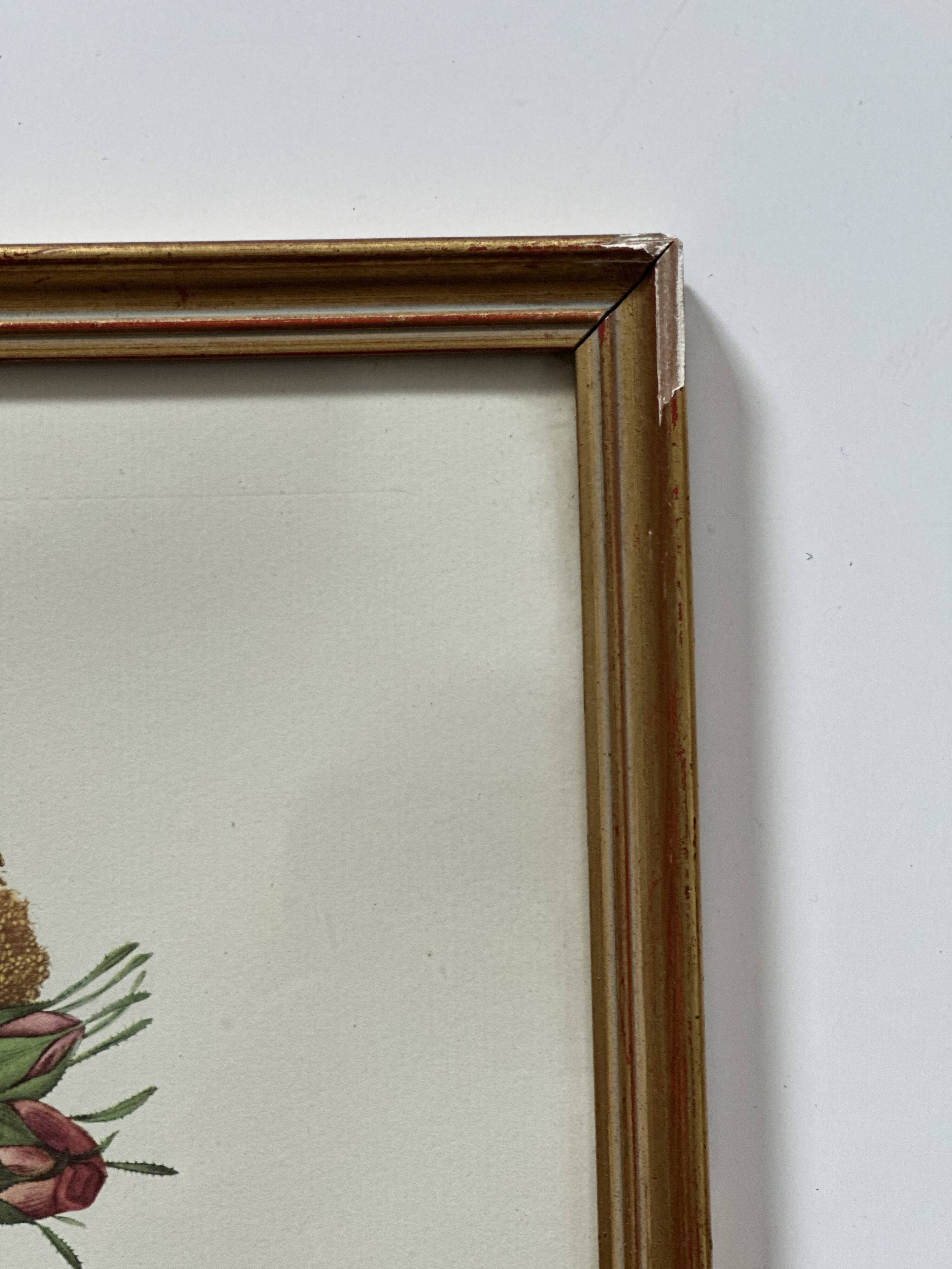 Vintage flower botanical frame
