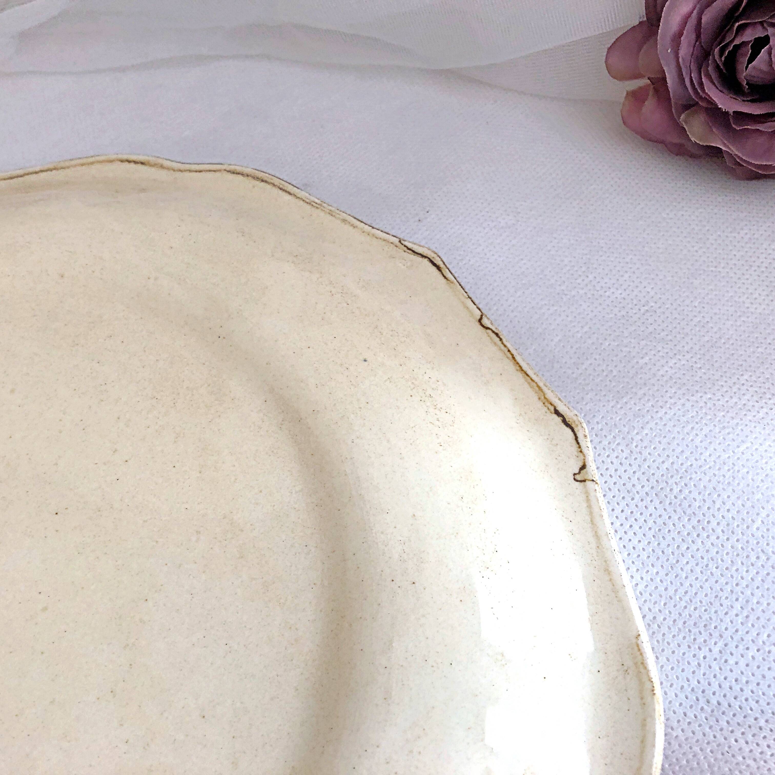 Decorative earthenware plate from Salins France, Buchy decor 25.5 cm