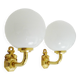 Pair of wall sconces with carp fish, brass and opaline globe.