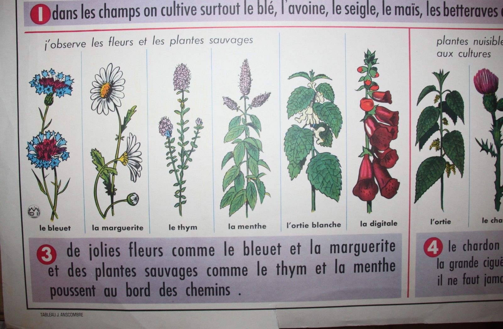Poster school vintage MDI in the fields and garden 47 and 48