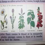 Poster school vintage MDI in the fields and garden 47 and 48