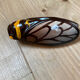 Vintage cicada
