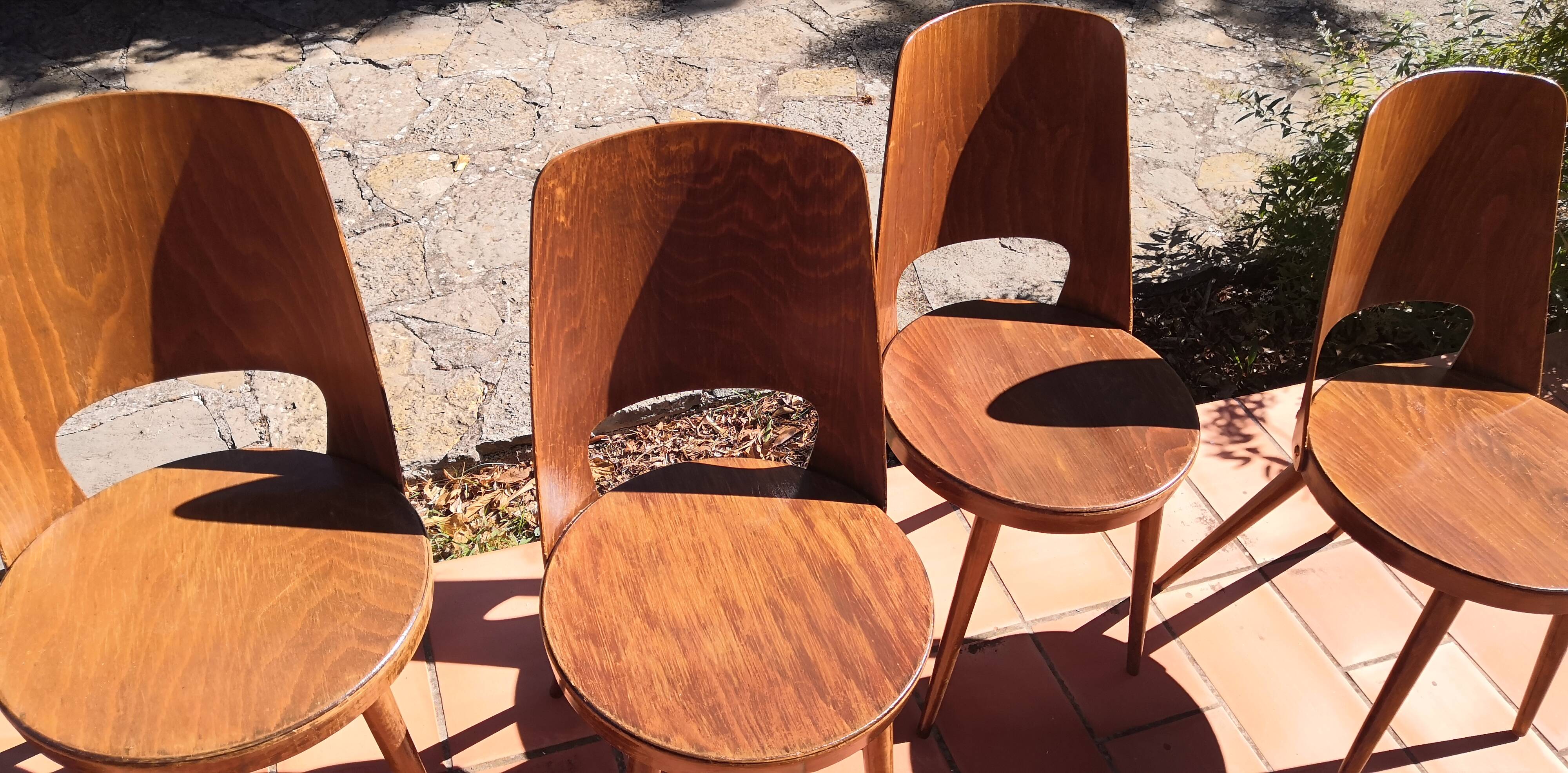 Vintage baumann mondor chairs 60