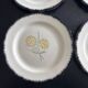 Service of 4 plates Ainay Salins