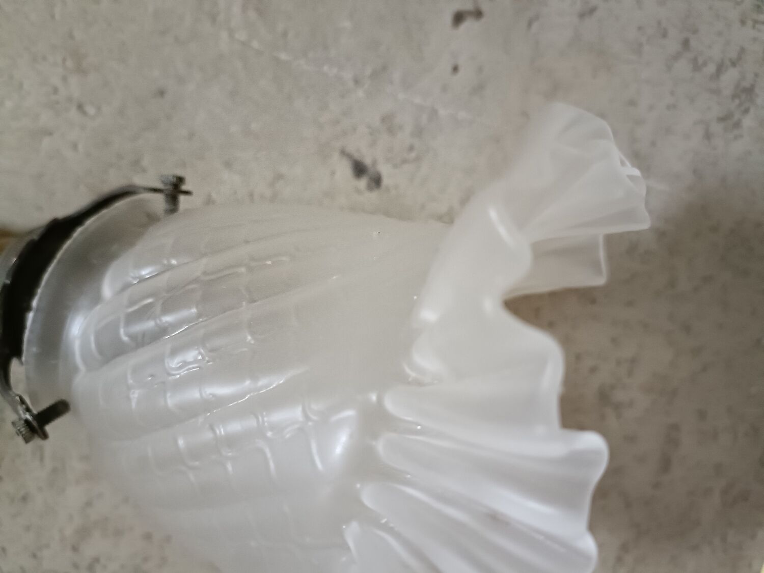 Art Nouveau tulip wall lamp