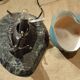 Bronze snail nightlight patinated glass shell lined marble base ref A208/12