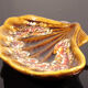 Vallauris coquillage